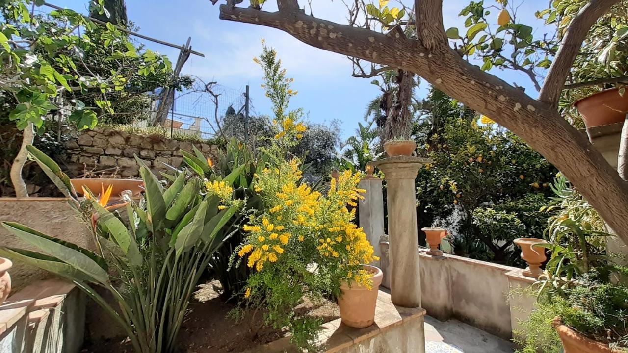 Villa Dorothee Capri Eksteriør billede